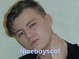 Niceboyscot