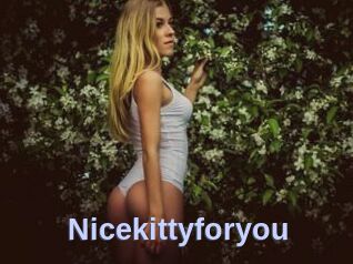 Nicekittyforyou