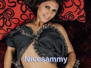 Nicesammy