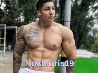 Noaharris19