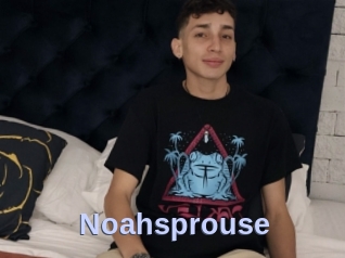 Noahsprouse