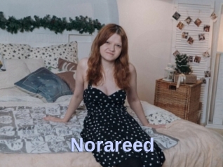 Norareed