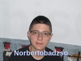 Norbertobadzso