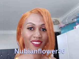 Nubianflower36
