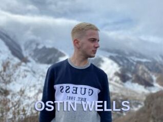 OSTIN_WELLS