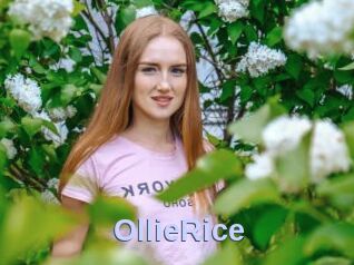 OllieRice