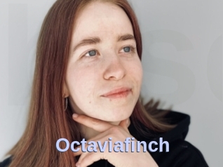Octaviafinch
