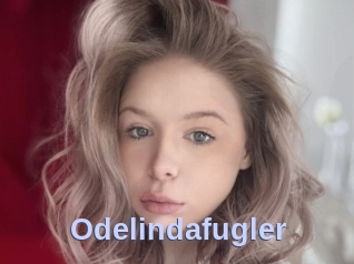 Odelindafugler