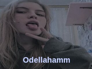 Odellahamm