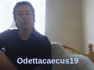 Odettacaecus19