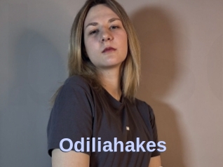 Odiliahakes