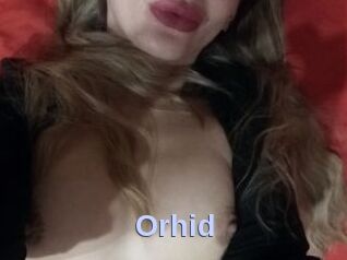 Orhid