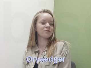 Orvaedger