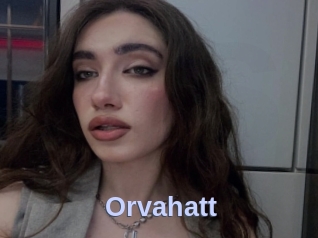 Orvahatt