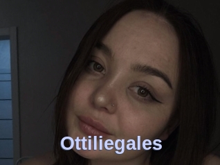 Ottiliegales