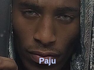 Paju