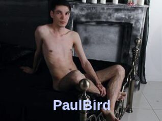 PaulBird