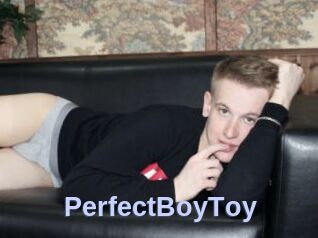 PerfectBoyToy