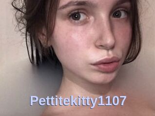 Pettitekitty1107