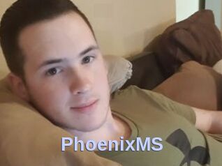 PhoenixMS