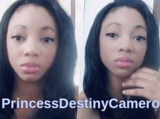 PrincessDestinyCamero
