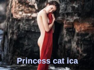 Princess_cat_ica