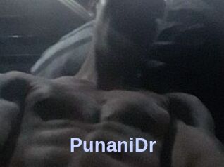 PunaniDr