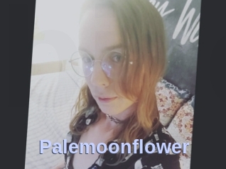 Palemoonflower