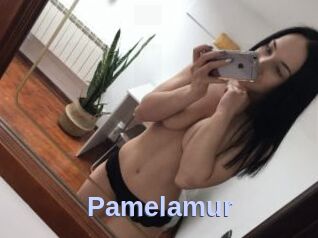 Pamelamur