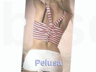 Pelusa
