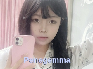 Penegemma