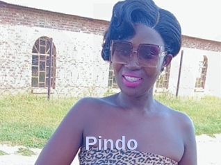 Pindo