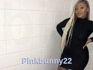 Pinkbunny22
