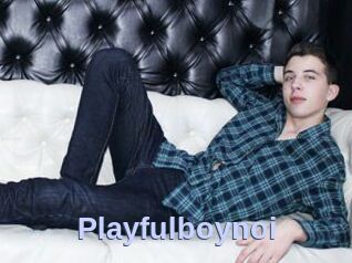 Playfulboynoi