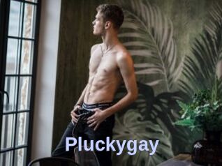 Pluckygay
