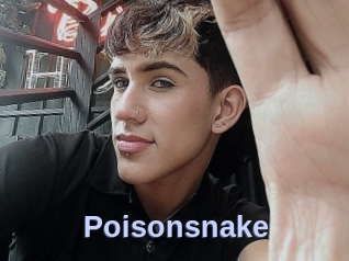 Poisonsnake