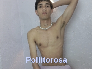 Pollitorosa