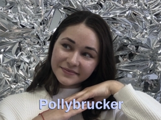 Pollybrucker