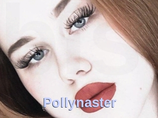 Pollynaster