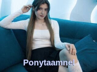 Ponytaamnel