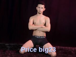 Price_big23