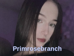 Primrosebranch