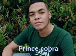 Prince_cobra