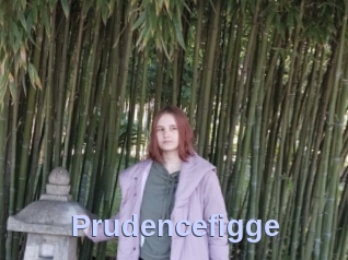 Prudencefigge