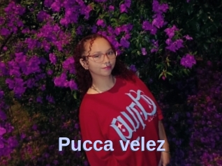 Pucca_velez