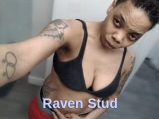 Raven_Stud