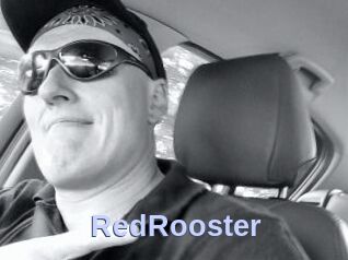 RedRooster