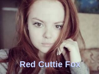 Red_Cuttie_Fox