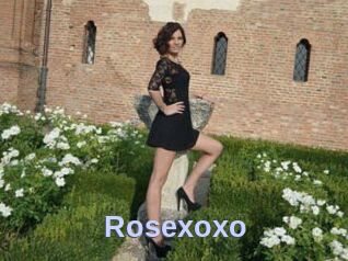 Rosexoxo
