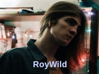 RoyWild